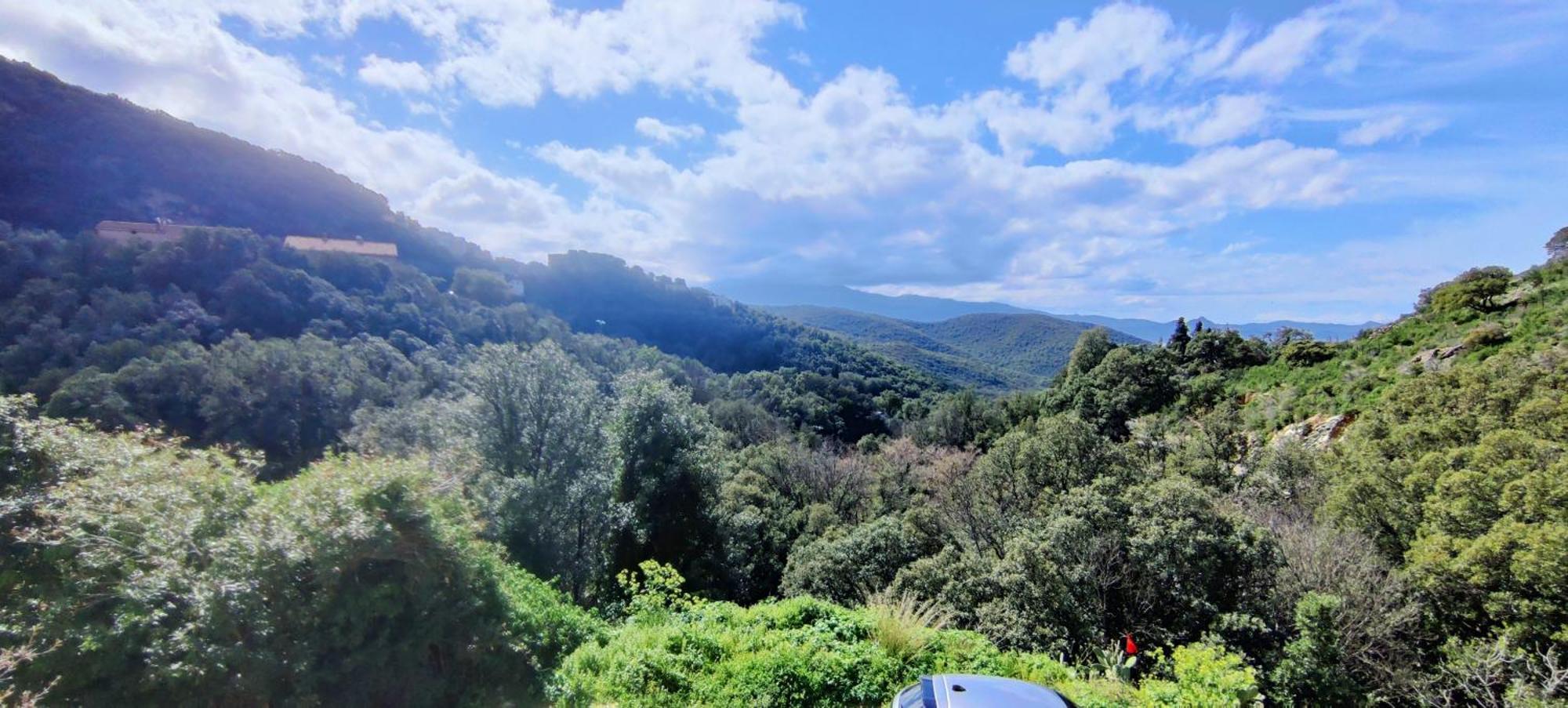 La Vallicella Farinole Rom bilde